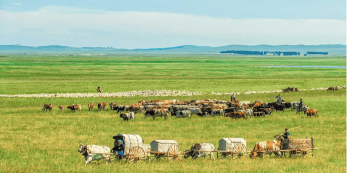 “沉浸式牧户游”狂揽百万订单麻将胡了app新巴尔虎左旗(图2)