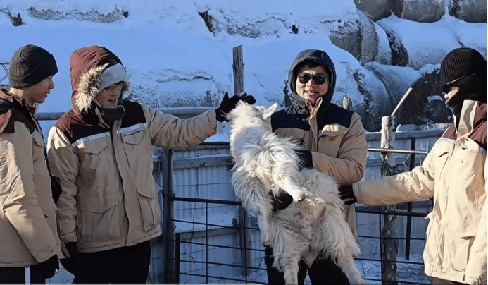 “沉浸式牧户游”狂揽百万订单麻将胡了app新巴尔虎左旗(图4)