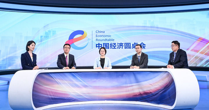 ——“中国经济圆桌会”聚焦海洋经济高质量发展麻将胡了2试玩网站精耕深蓝加快建设海洋强国(图16)